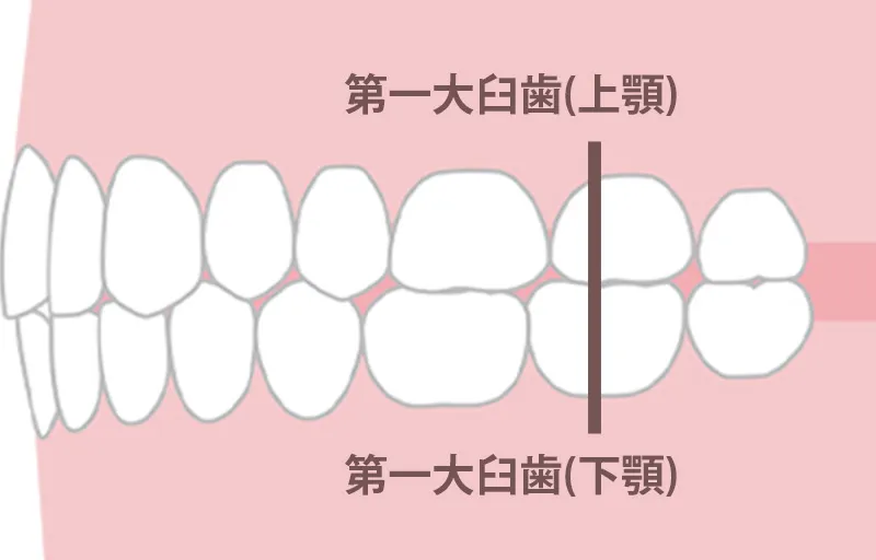 正面からの見え方が気になる方
